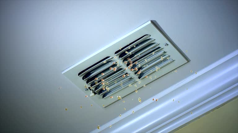Best HVAC Air Duct Cleaning  in Mlstadt, IL