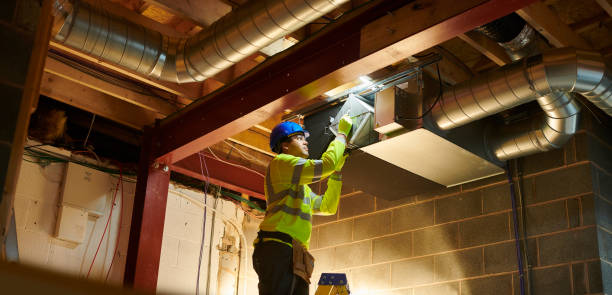 Best Ductwork Cleaning Services  in Mlstadt, IL