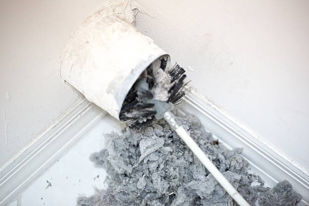 Best Affordable HVAC Duct Cleaning  in Mlstadt, IL